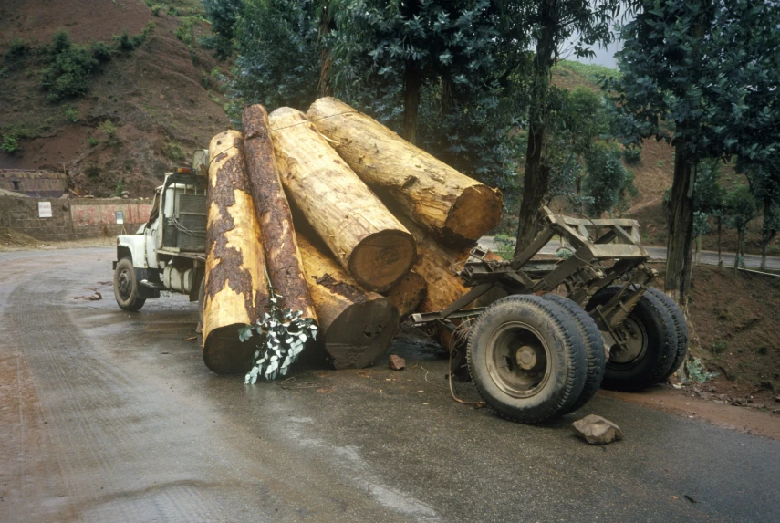 Who is responsible when logging trucks cause accidents?